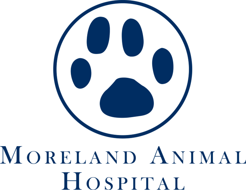 Moreland Animal Hospital Logo