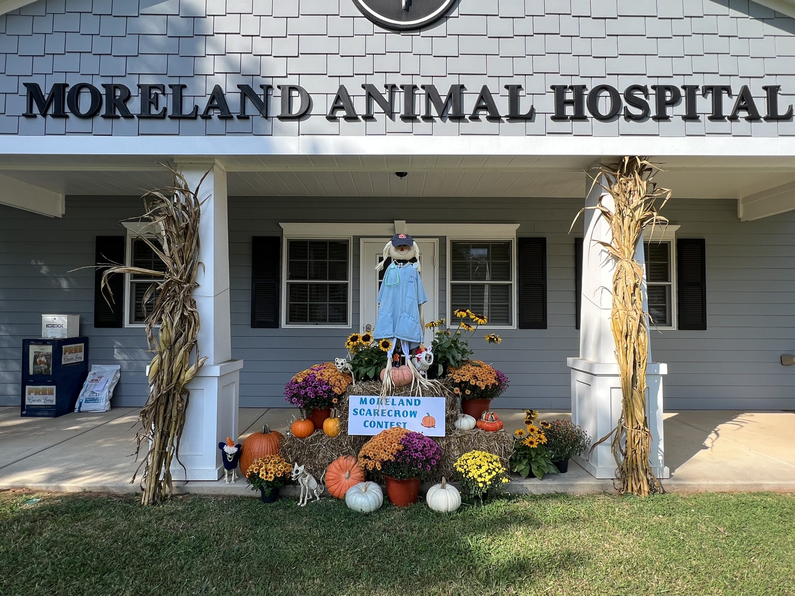 Moreland Animal Hospital Scarecrow
